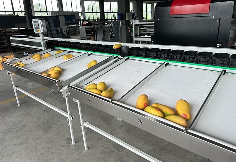 images/1714983369100mango sorting grading machine.jpg